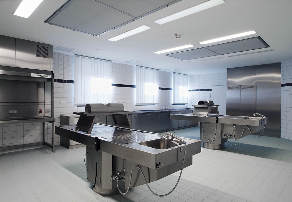 Pathologisches Institut Bergmannsheil